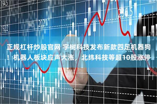 正规杠杆炒股官网 宇树科技发布新款四足机器狗！机器人板块应声大涨，北纬科技等超10股涨停