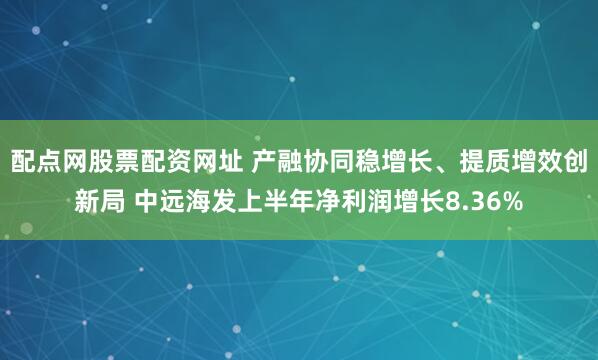 配点网股票配资网址 产融协同稳增长、提质增效创新局 中远海发上半年净利润增长8.36%