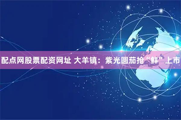 配点网股票配资网址 大羊镇：紫光圆茄抢“鲜”上市