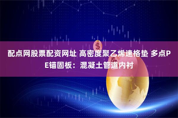 配点网股票配资网址 高密度聚乙烯速格垫 多点PE锚固板：混凝土管道内衬