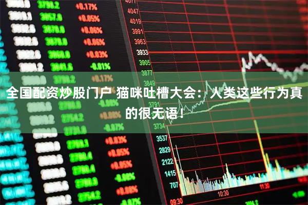 全国配资炒股门户 猫咪吐槽大会：人类这些行为真的很无语！