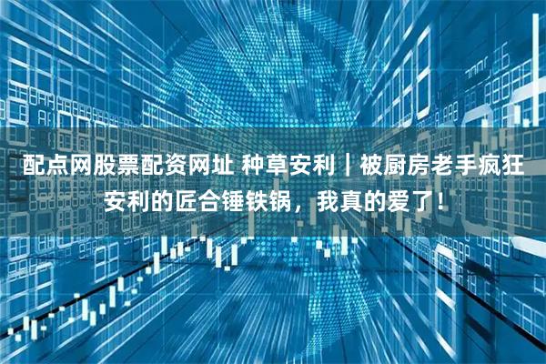 配点网股票配资网址 种草安利｜被厨房老手疯狂安利的匠合锤铁锅，我真的爱了！