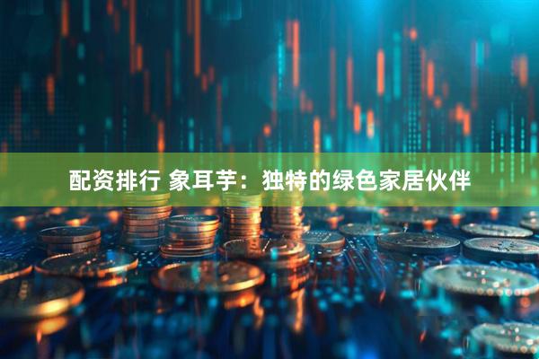配资排行 象耳芋：独特的绿色家居伙伴