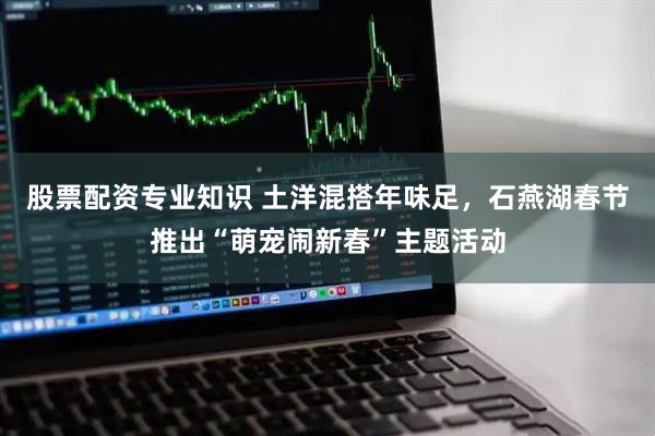 股票配资专业知识 土洋混搭年味足，石燕湖春节推出“萌宠闹新春”主题活动