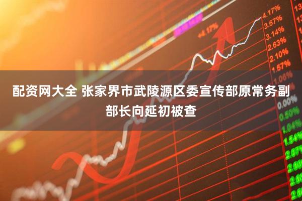 配资网大全 张家界市武陵源区委宣传部原常务副部长向延初被查